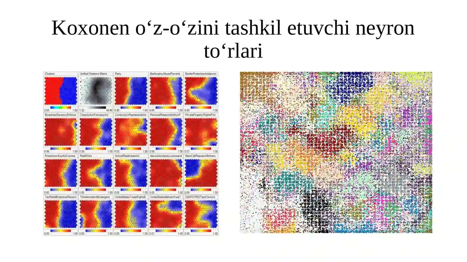 Koxonen o‘z-o‘zini tashkil etuvchi neyron to‘rlari 4