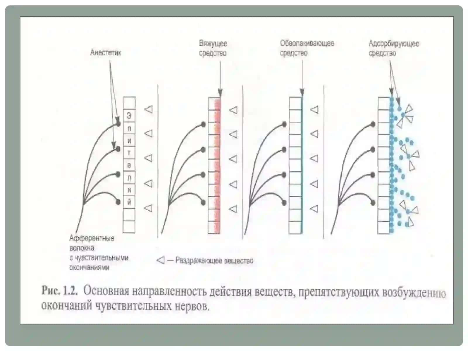 Асаб системасига таъсир этувчи    дори (нейротроп) воситалар 4