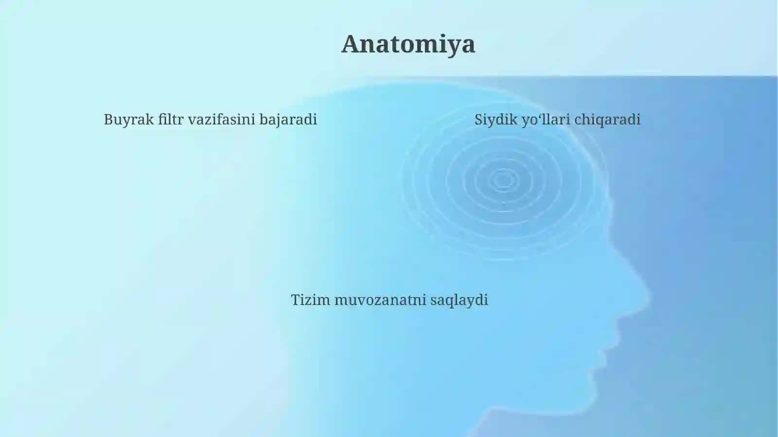 Buyrak va siydik yo‘llari 4