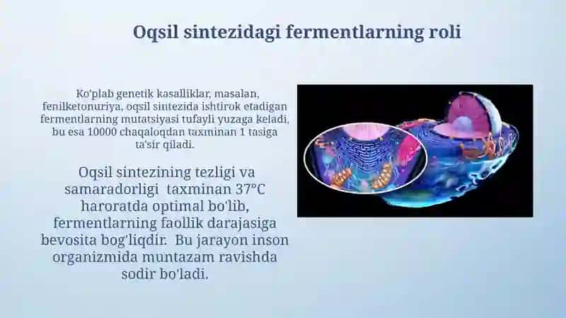 Fermentlarning organizmdagi vazifasi 4