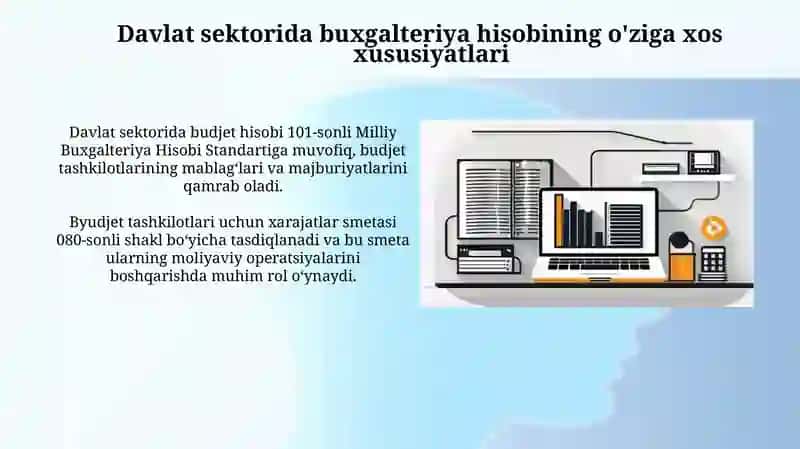Davlat sektorida buxgalteriya hisobi axborot tizimlari 4