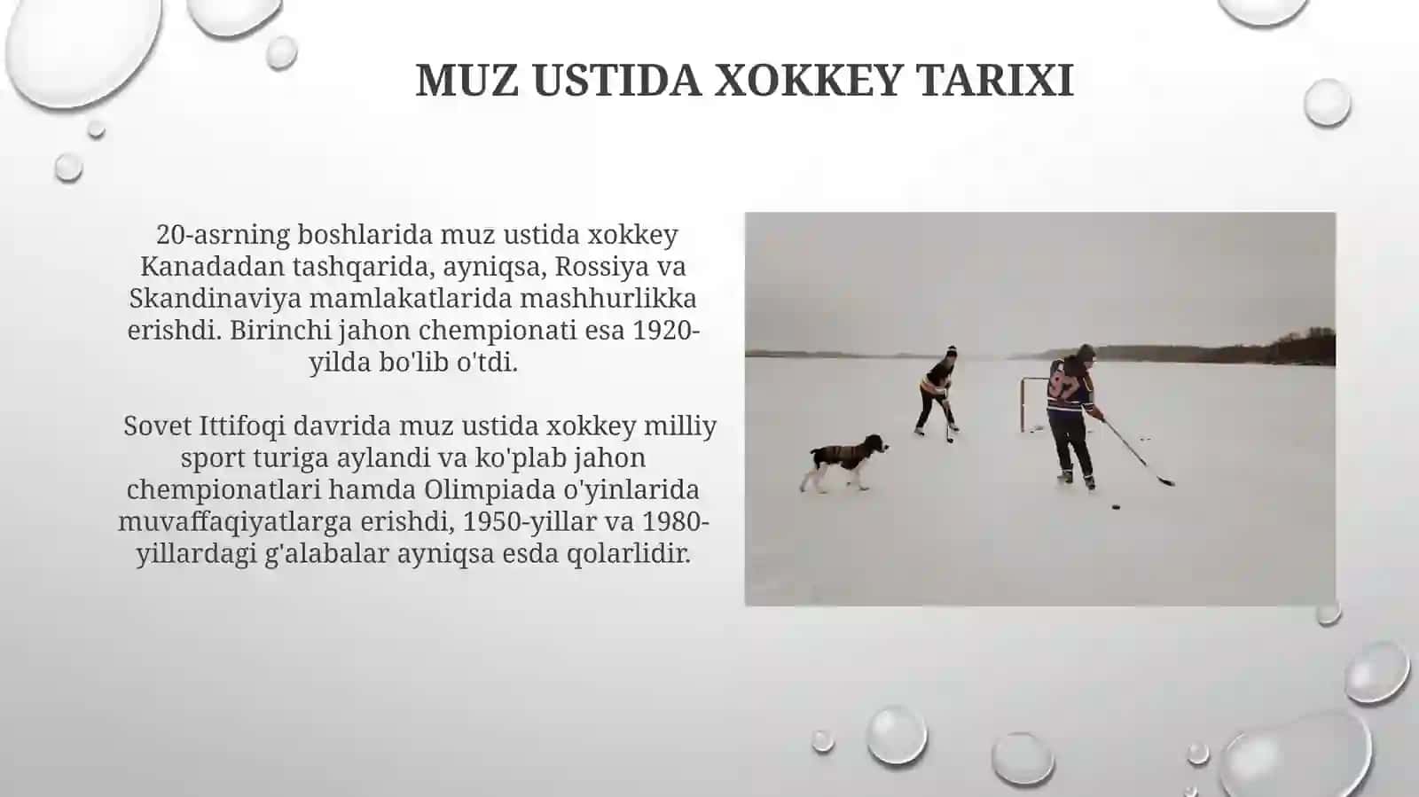 Chim ustida xokkey 4