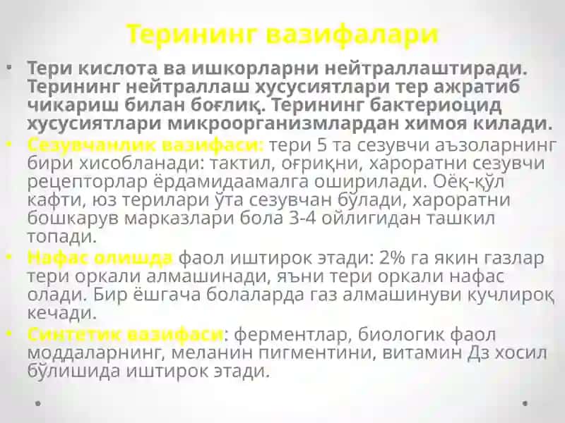 Терининг вазифалари 4