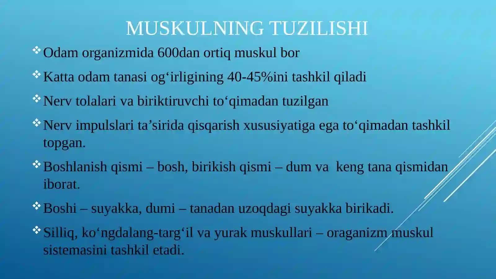 Muskullarning tuzilishi 4