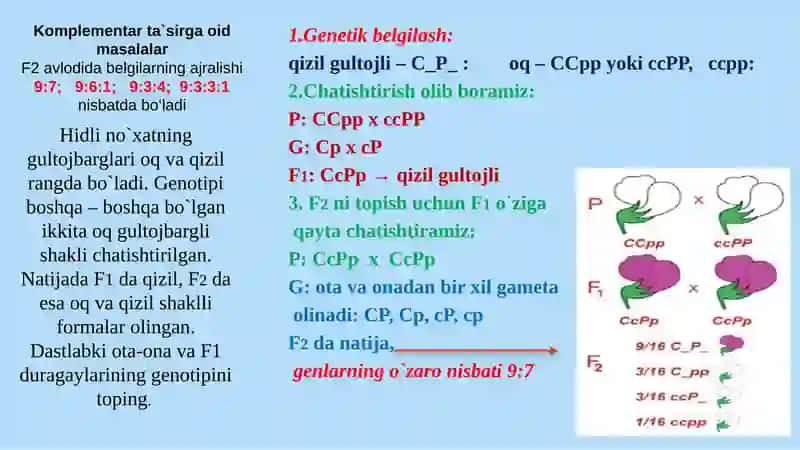Komplementarlik mavzusi masalalari 4