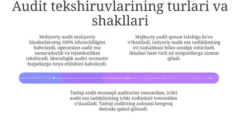 Auditning normativ huquqiy asoslari 4