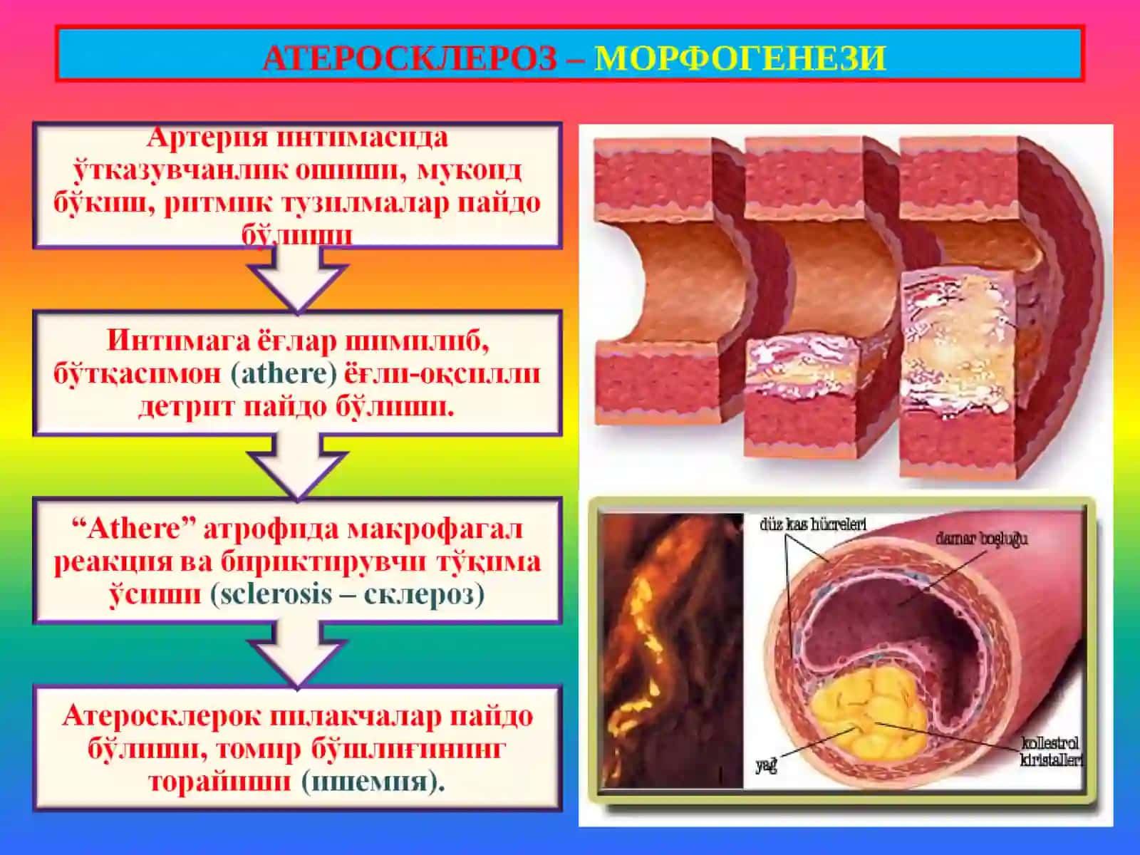 ПАТОЛОГИК АНАТОМИЯ 4