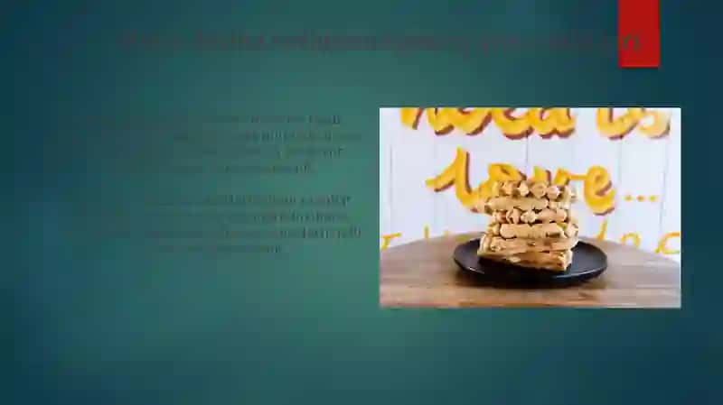 Mikro-loyiha tadbirkorligi 4