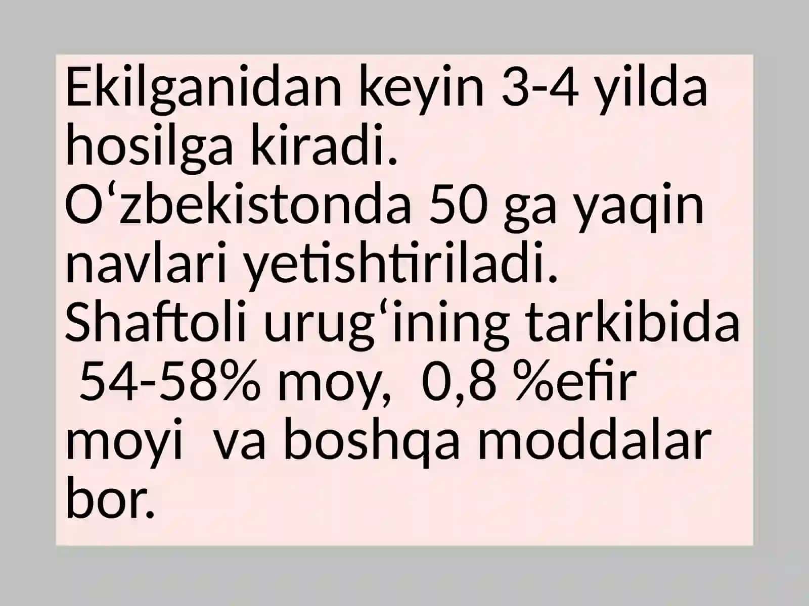 Shifobaxsh mevalar 4