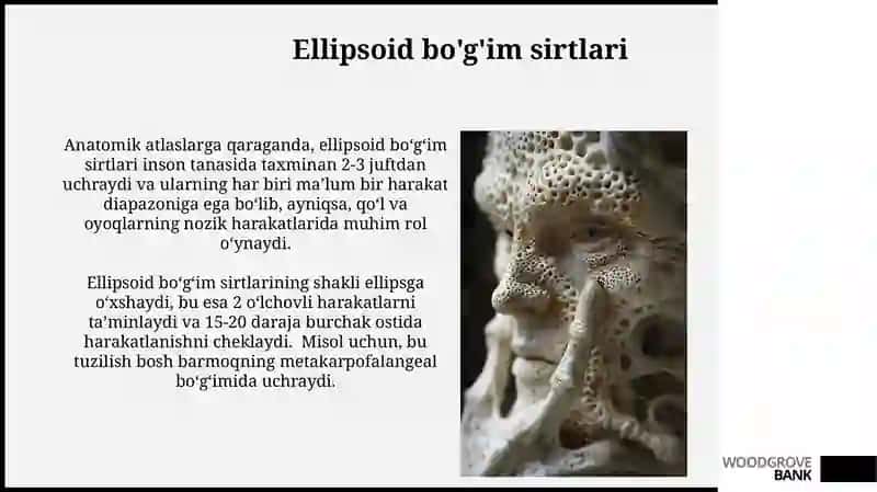 Suyak to’qimalari 4