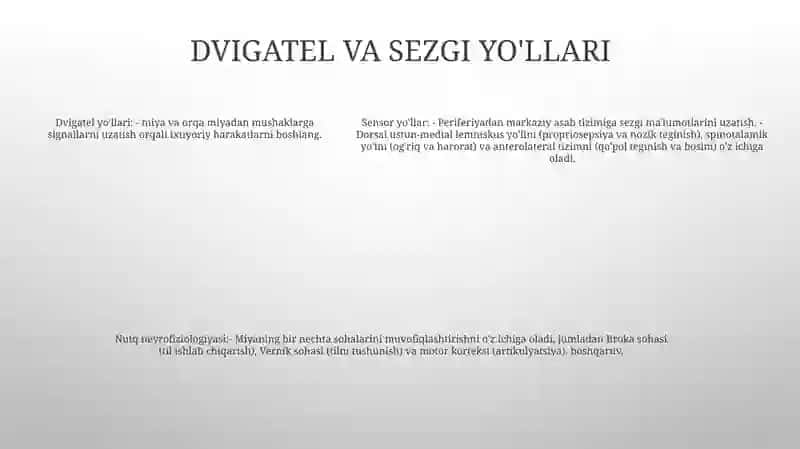 Nutqning Neyrofiziologik Mexanizmlari 4