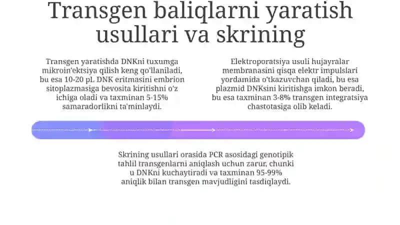Teransgen baliq yaratish texnologiyasi 4