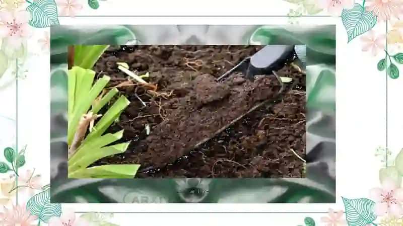 Tuproq unumdorligini baholash 4