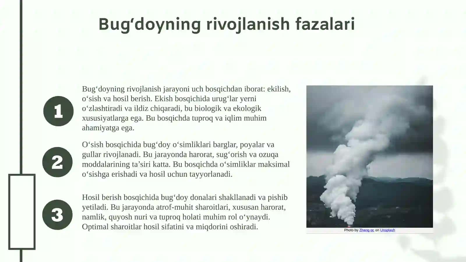 Bugʻdoy biologiyasi, rivojlanish fazalari 4