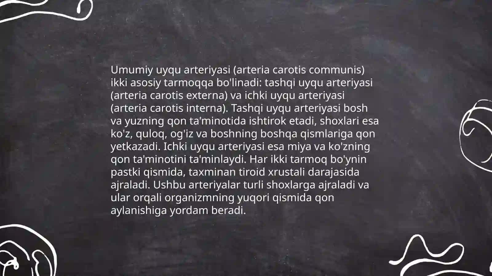 Umumiy uyqu arteriyasi 4