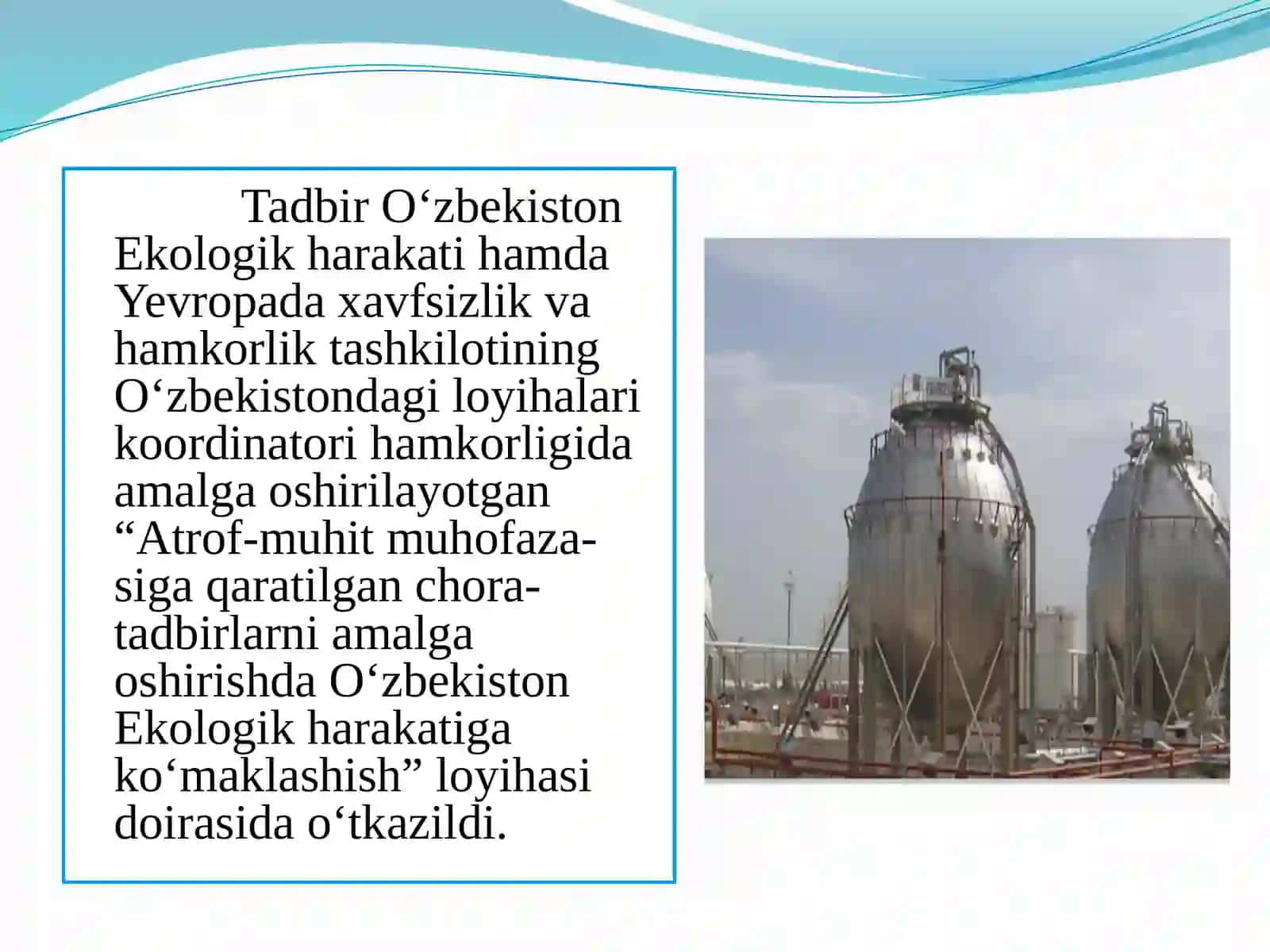 EkologiksohadagiNNTfaoliyati 4