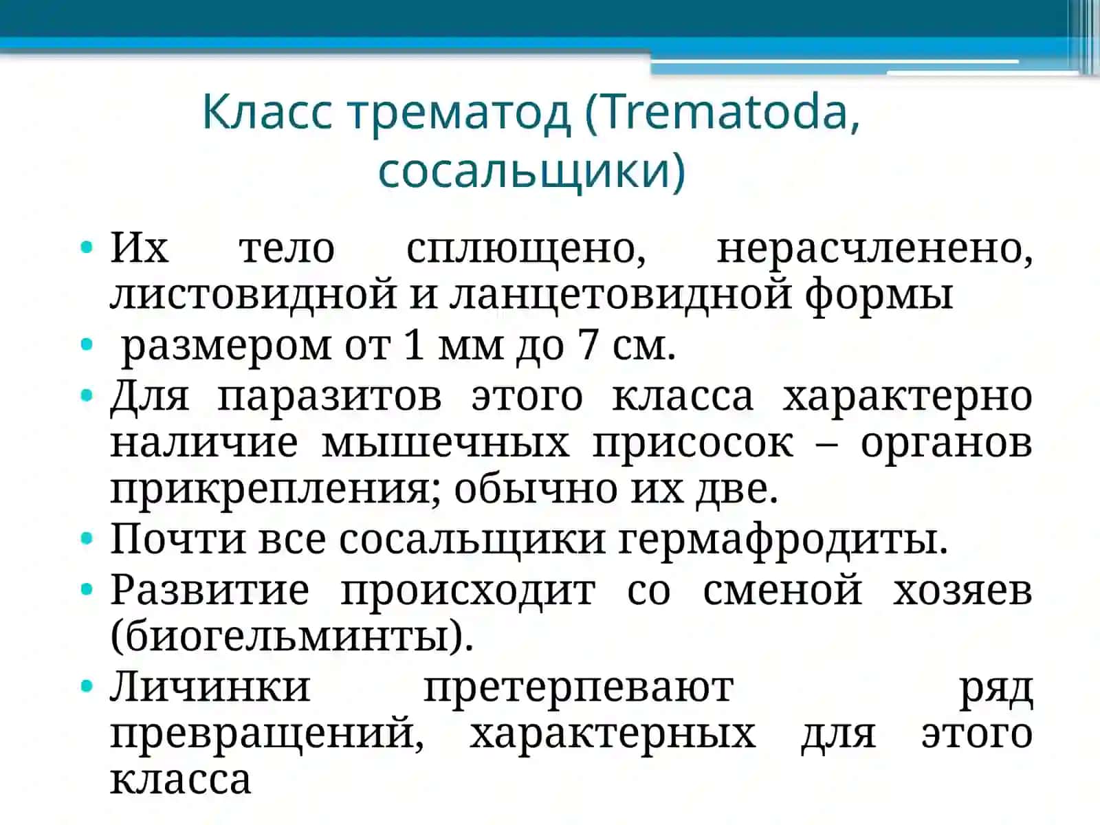 Жизненный цикл трематод 4