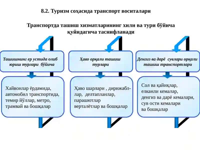 Туризм соҳасида транспорт хизматлари 4
