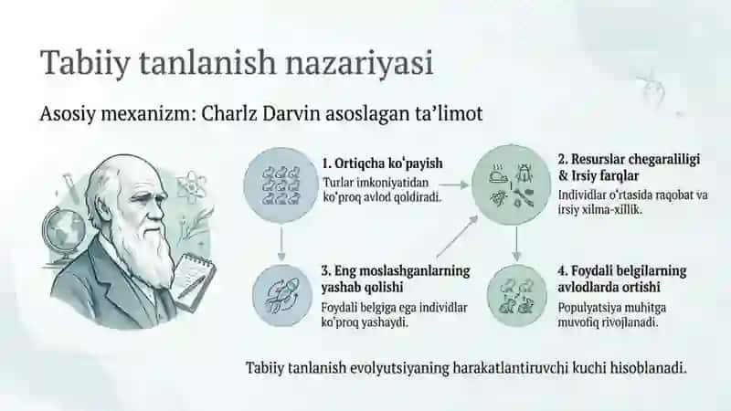 Tanlanish va Inson Evolyutsiyasi 4