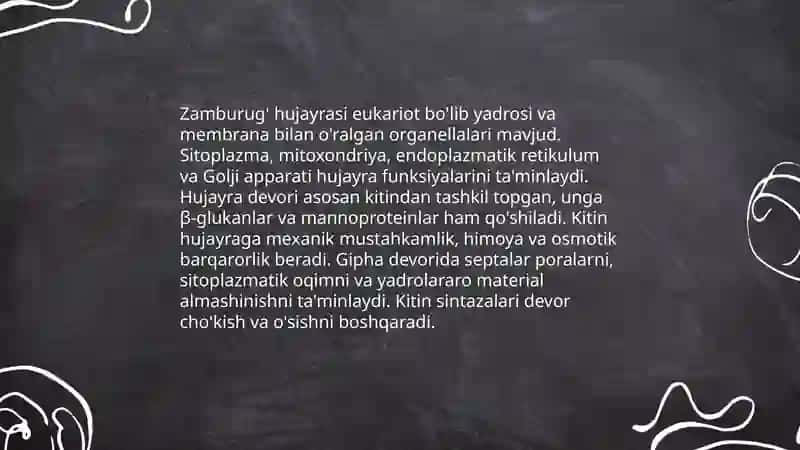 Zamburug'lar bo'limi 4