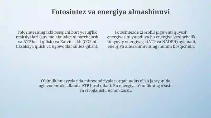 O‘simliklar Dunyosi 4