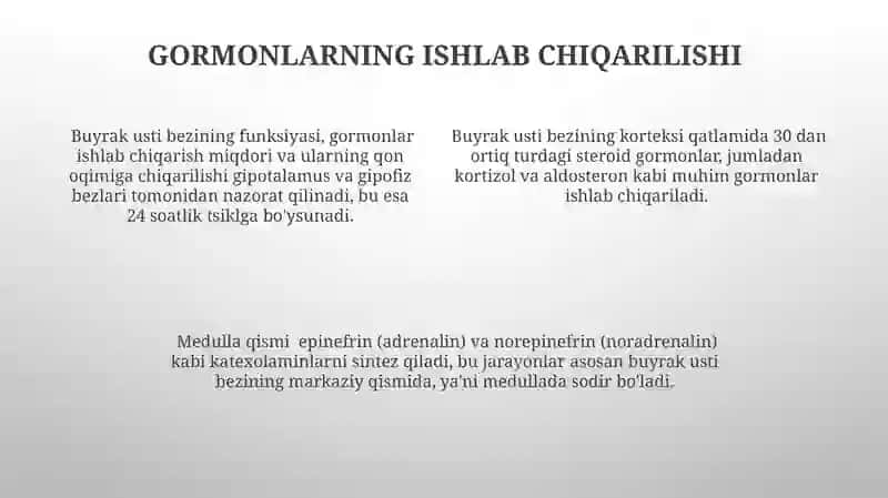 Buyrak usti bezining tuzilishi 4
