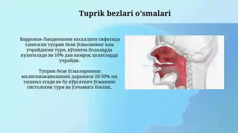 Tuprik bezlarining embrional rivojlanishi 4