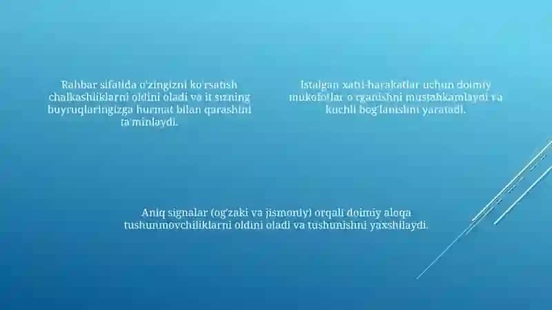 Talim jarayonida ustunlik tamoyilidan foydalanish 4