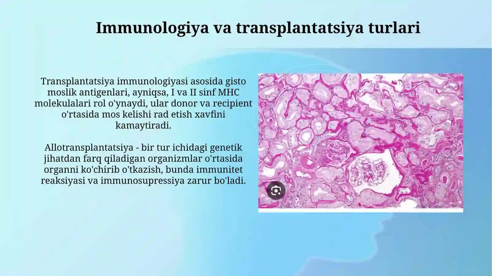 Transplantatsiya: Tarix va Huquq 4