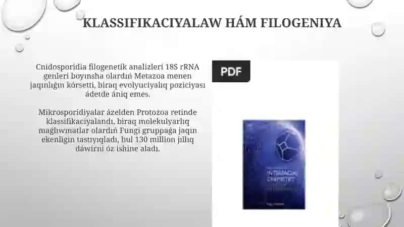 Kirpikli Infuzoriyalar 4