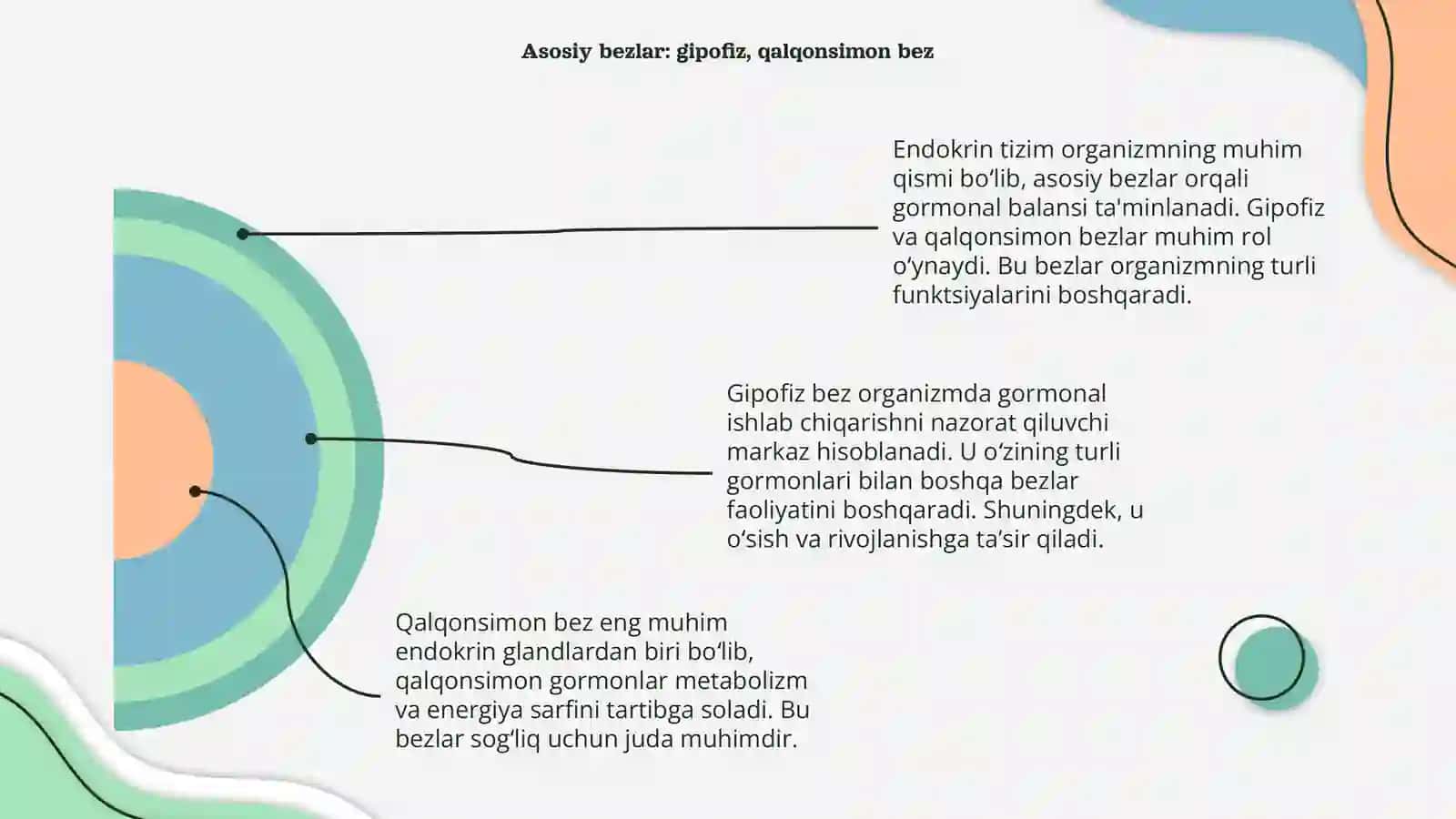 Endokrin tizimi 4
