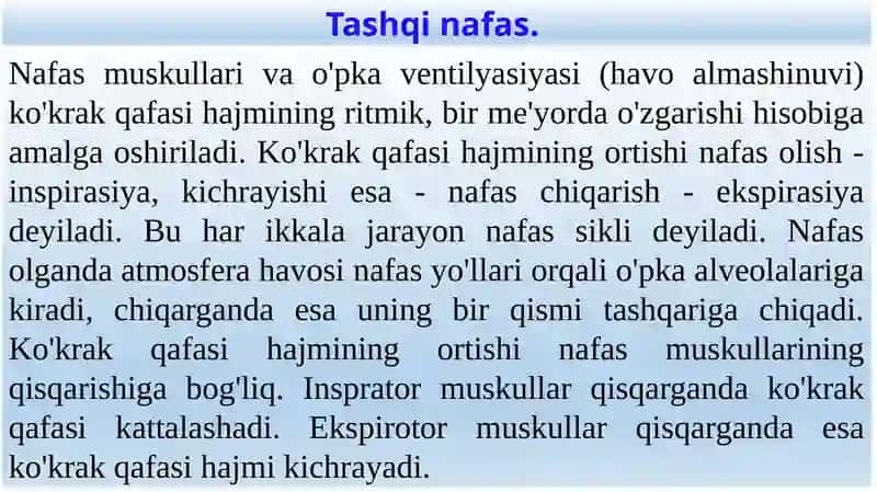 Nafas olishning ahamiyati 4