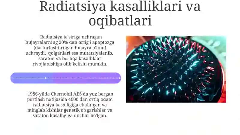 DNKning shikastlanishi va ta'mirlanishi 4