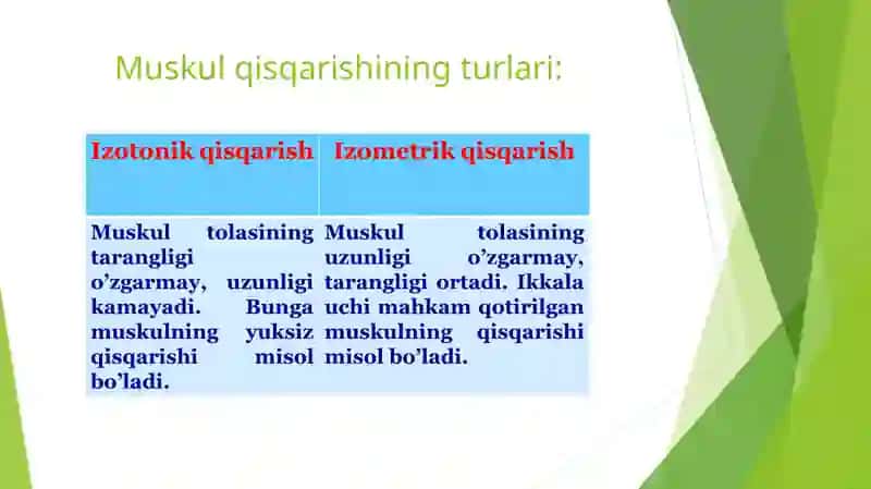 Mushaklar ishi va biomehanikasi 4