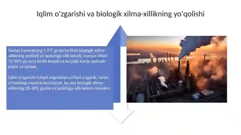 Ekologik muammolar 4