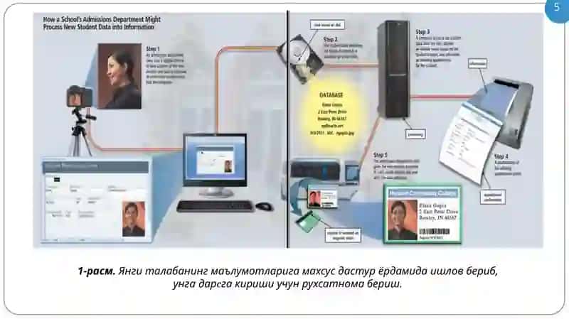 Тармоқ маълумот базаси 4