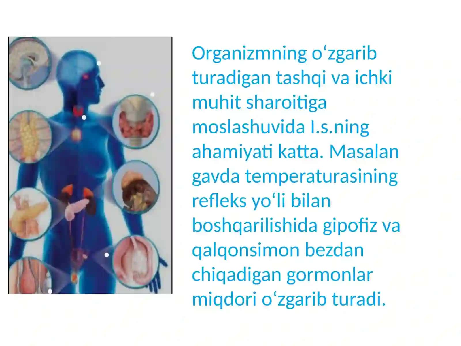 Ichki sekretsiya bezlari va ularning garmonlar 4