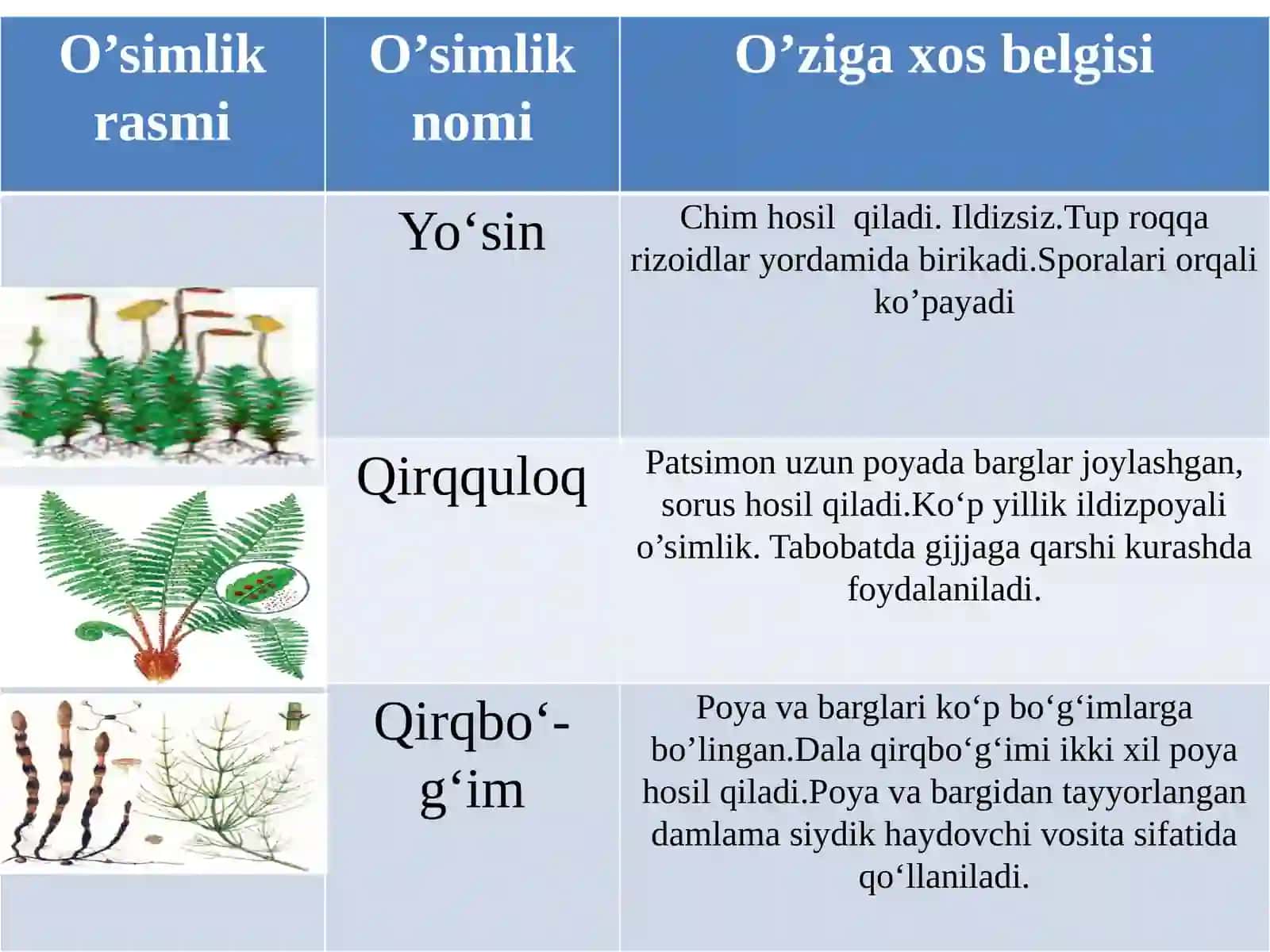 Dorivoro’simliklar-PlantaeMedicinae 4