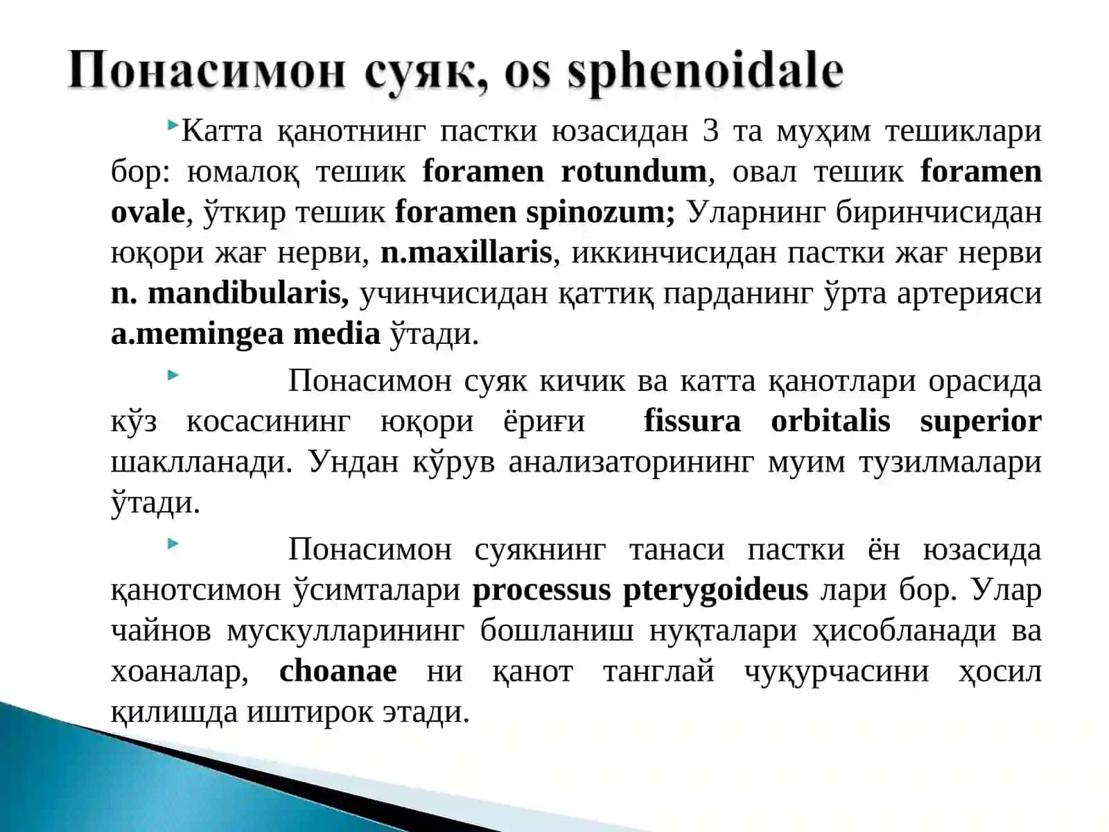 Т Тиббий фундаментал фанлар 4