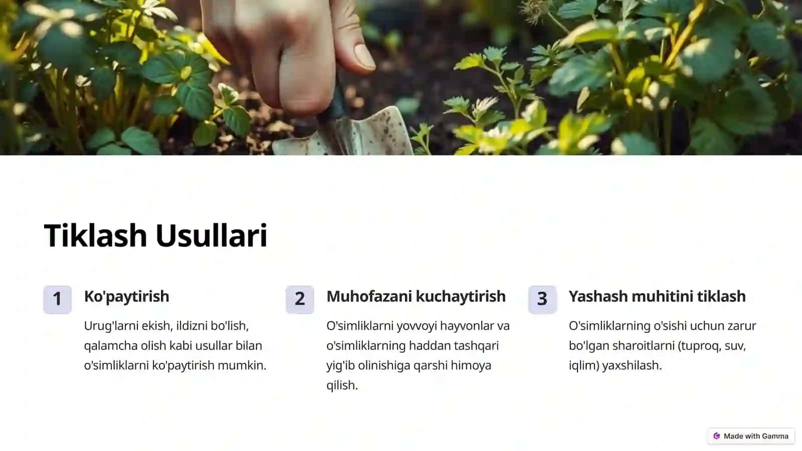 Dorivor O'simliklarning Zahirasini Aniqlash va Tiklash Usullari 4