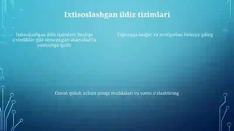 Cho‘L O‘Simliklari 4