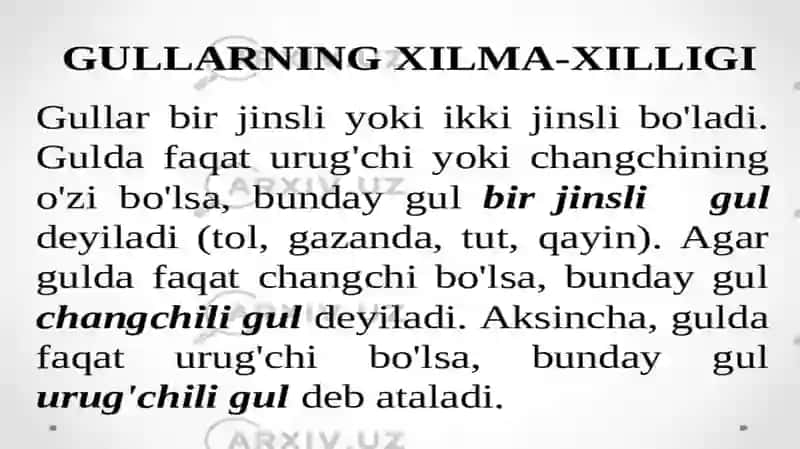 Gullarning xilma-xilligi 4