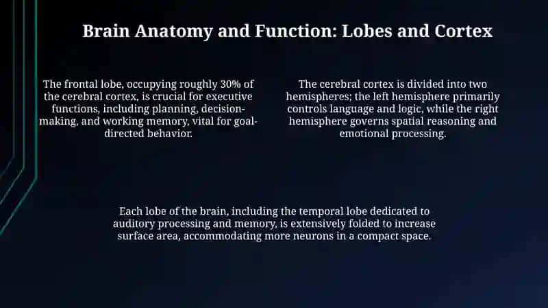 BRAIN AND NERVOUS SYSTEM 4
