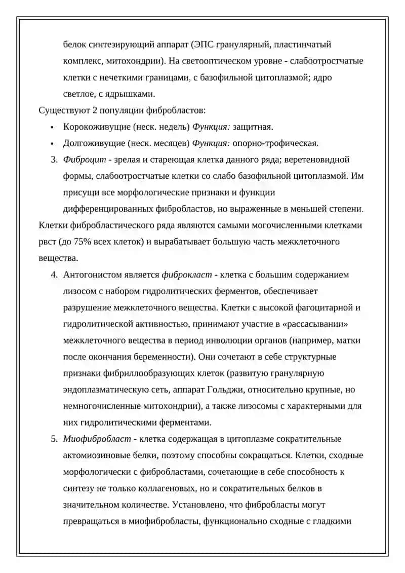 Соединительная ткань 4
