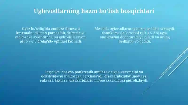 Uglevodlarning hazm bo'lishi 4
