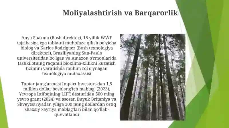 Tapiar san'atini asoschilari 4