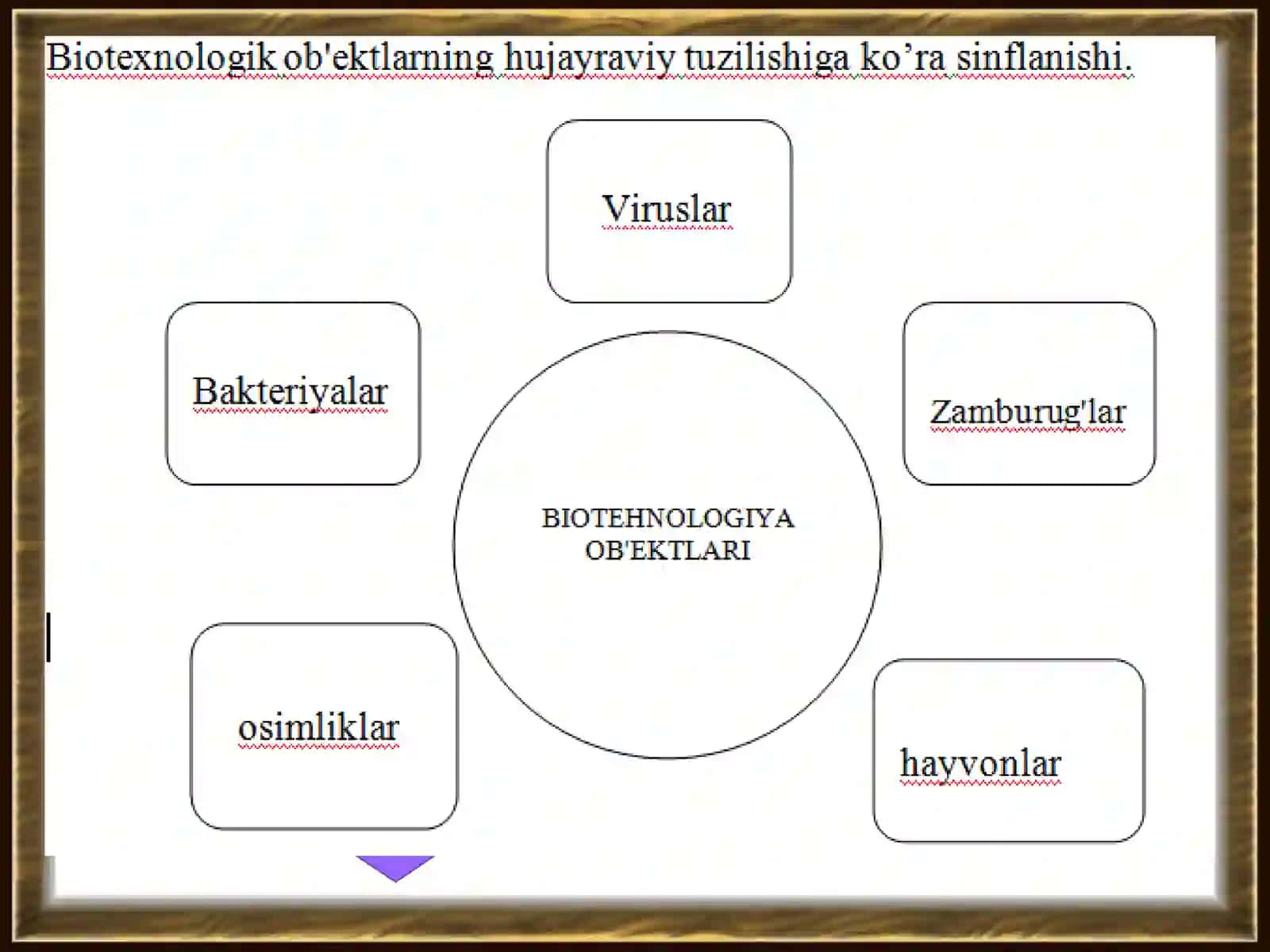 Biotexnologiya obektlari 4