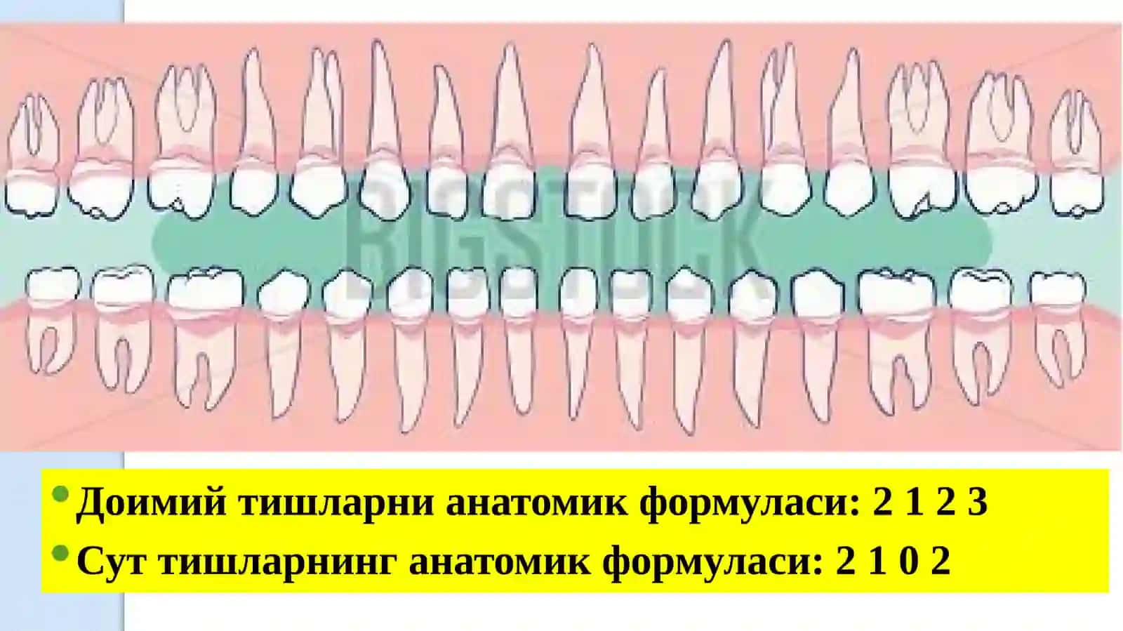Кариес ковакларини чархлаш босқичлари ва услублари 4
