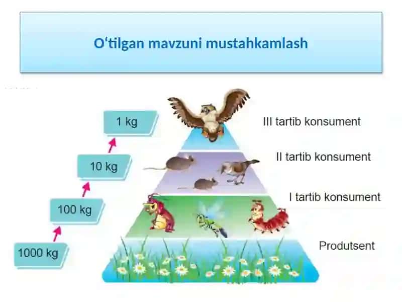 TOZA ICHIMLIK SUVINI OLISH 4