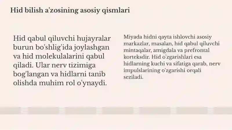 Hid bilish a'zosi 4